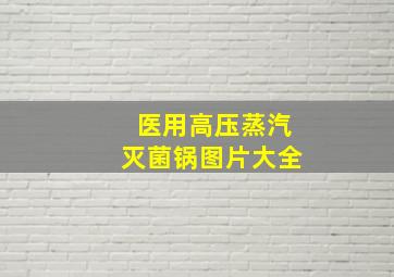 医用高压蒸汽灭菌锅图片大全