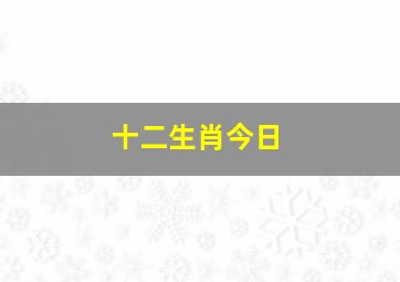 十二生肖今日