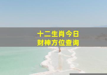 十二生肖今日财神方位查询