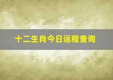 十二生肖今日运程查询