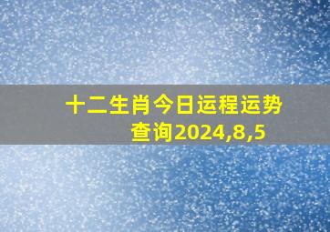 十二生肖今日运程运势查询2024,8,5