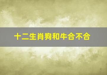 十二生肖狗和牛合不合