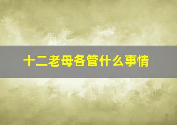 十二老母各管什么事情