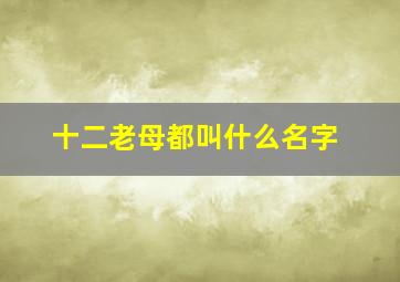 十二老母都叫什么名字