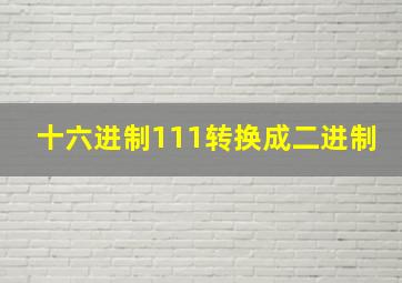 十六进制111转换成二进制