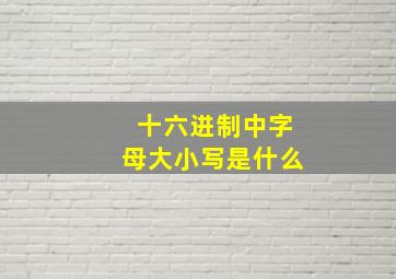 十六进制中字母大小写是什么