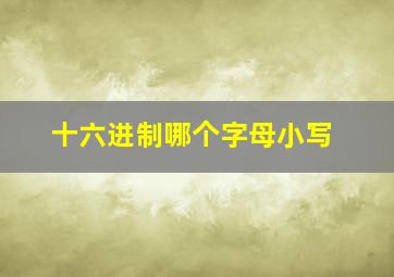 十六进制哪个字母小写