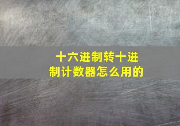 十六进制转十进制计数器怎么用的