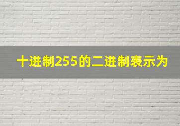 十进制255的二进制表示为