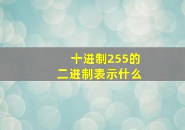 十进制255的二进制表示什么