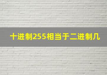 十进制255相当于二进制几