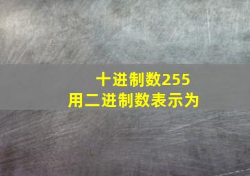 十进制数255用二进制数表示为