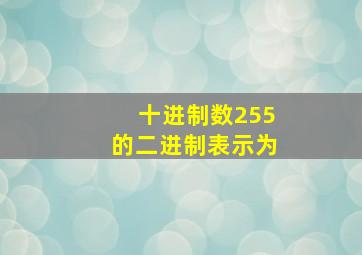 十进制数255的二进制表示为