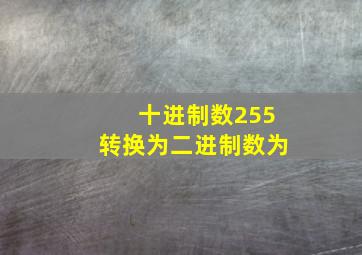 十进制数255转换为二进制数为