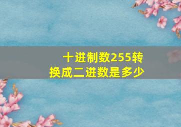 十进制数255转换成二进数是多少