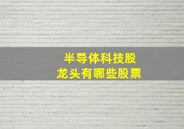 半导体科技股龙头有哪些股票