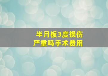 半月板3度损伤严重吗手术费用