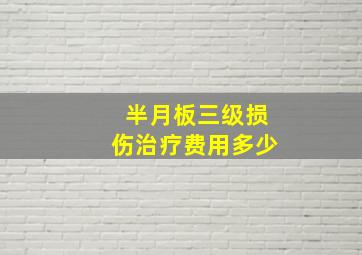 半月板三级损伤治疗费用多少