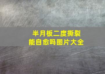 半月板二度撕裂能自愈吗图片大全