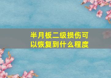 半月板二级损伤可以恢复到什么程度