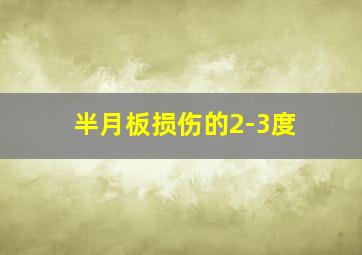 半月板损伤的2-3度