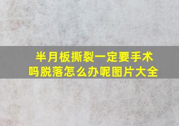 半月板撕裂一定要手术吗脱落怎么办呢图片大全