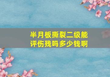 半月板撕裂二级能评伤残吗多少钱啊