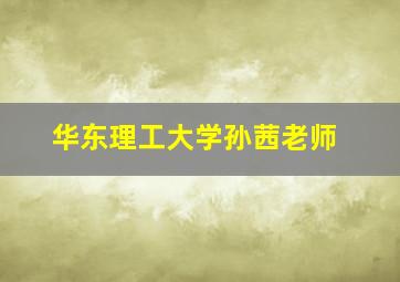 华东理工大学孙茜老师