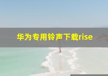 华为专用铃声下载rise