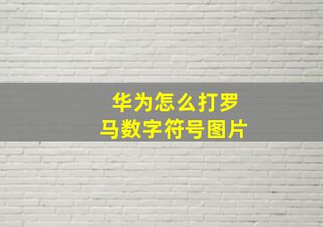 华为怎么打罗马数字符号图片