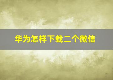 华为怎样下载二个微信