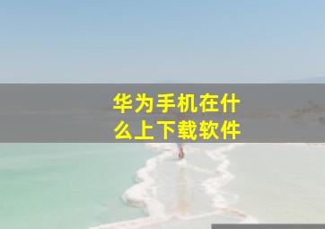 华为手机在什么上下载软件