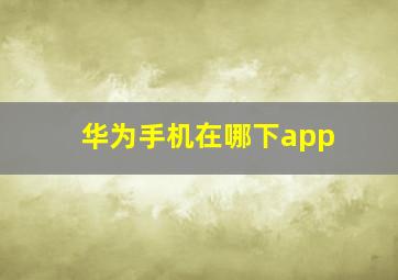 华为手机在哪下app