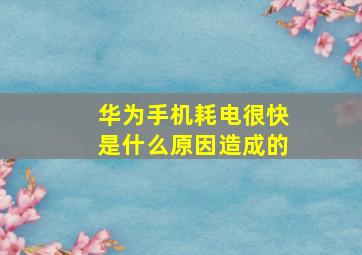 华为手机耗电很快是什么原因造成的