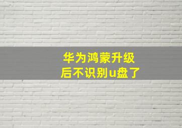 华为鸿蒙升级后不识别u盘了