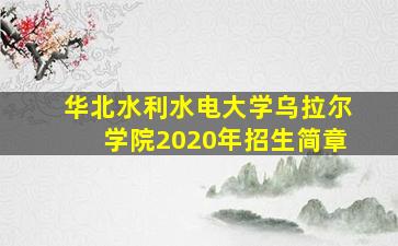 华北水利水电大学乌拉尔学院2020年招生简章