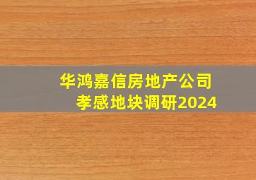 华鸿嘉信房地产公司孝感地块调研2024