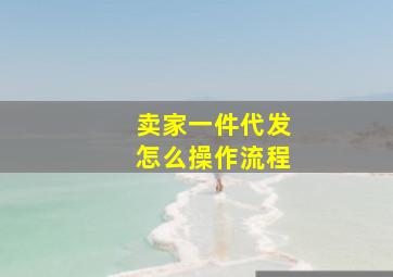 卖家一件代发怎么操作流程