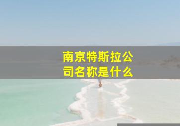 南京特斯拉公司名称是什么