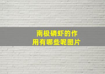 南极磷虾的作用有哪些呢图片