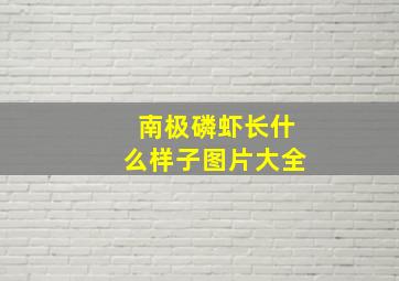 南极磷虾长什么样子图片大全