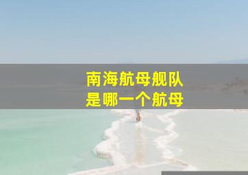 南海航母舰队是哪一个航母