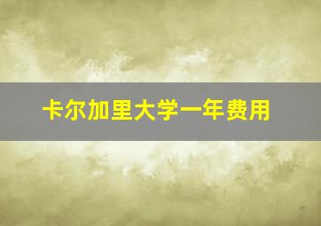 卡尔加里大学一年费用