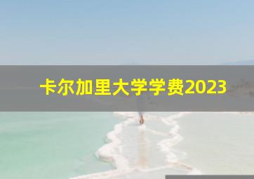 卡尔加里大学学费2023