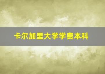 卡尔加里大学学费本科