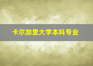 卡尔加里大学本科专业