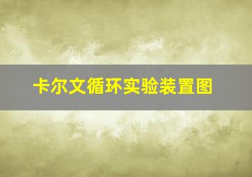 卡尔文循环实验装置图