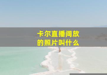 卡尔直播间放的照片叫什么