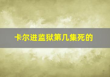 卡尔进监狱第几集死的