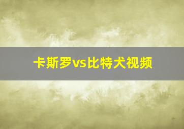 卡斯罗vs比特犬视频